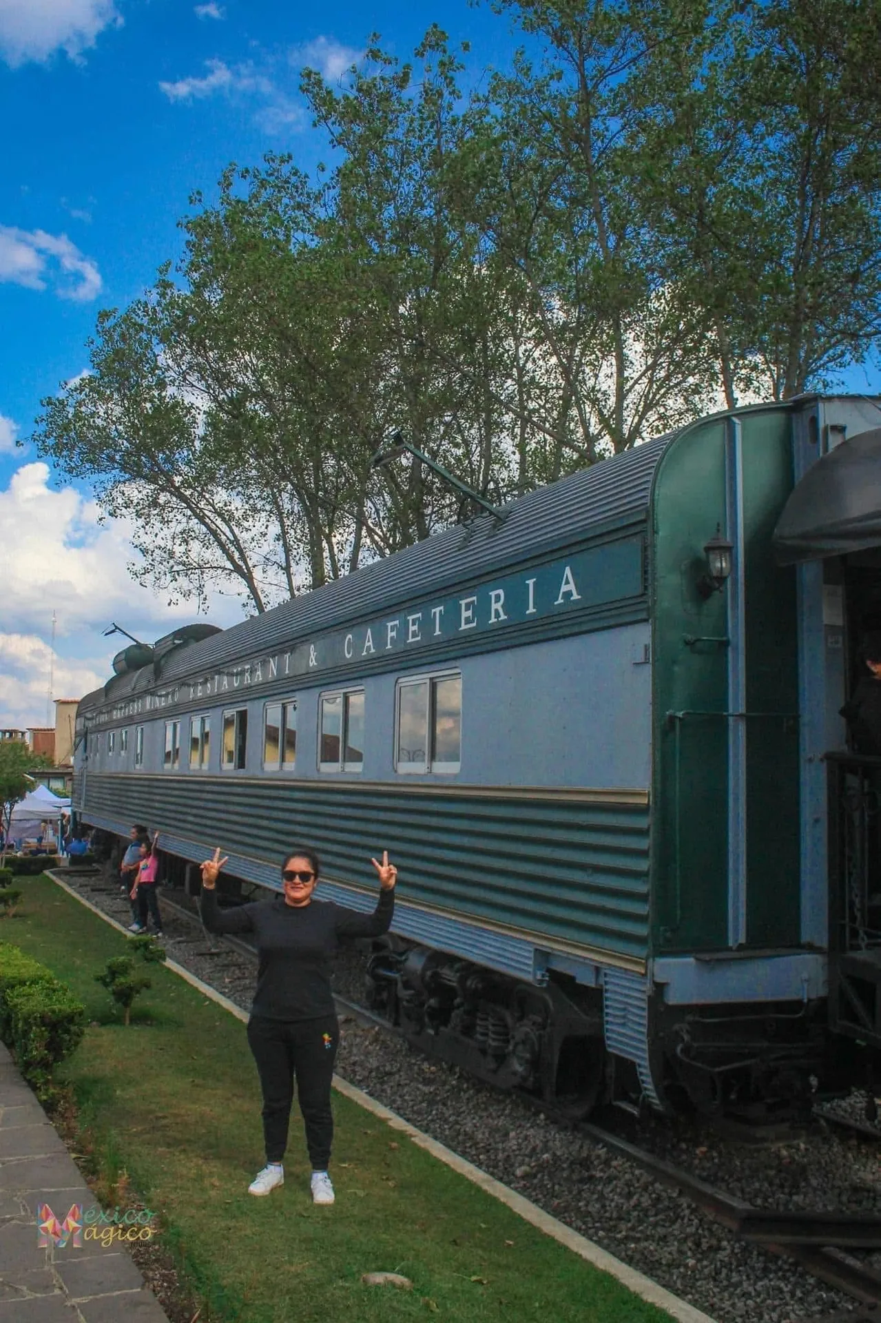 Viajera junto a un vagón restaurante